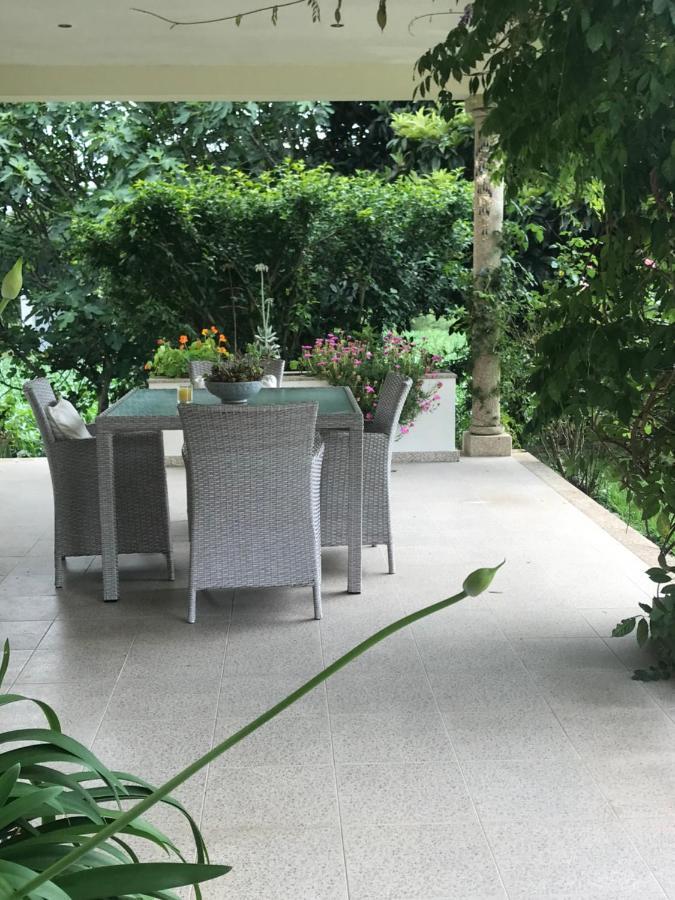 Camelias Bed & Breakfast Guimarães Dış mekan fotoğraf