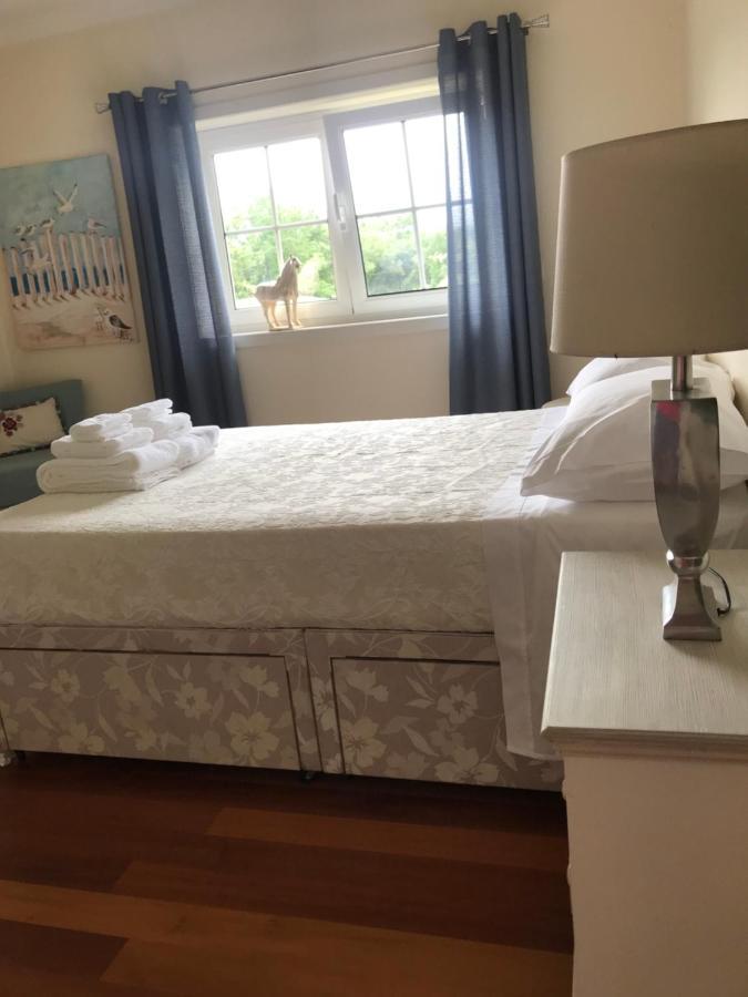 Camelias Bed & Breakfast Guimarães Dış mekan fotoğraf